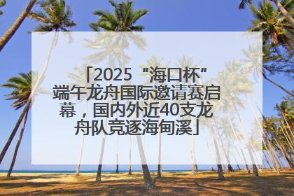 2025“海口杯”端午龙舟国际邀请赛启幕，国内外近40支龙舟队竞逐海甸溪