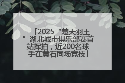 2025“楚天羽王”湖北城市俱乐部赛首站挥拍，近200名球手在黄石同场竞技