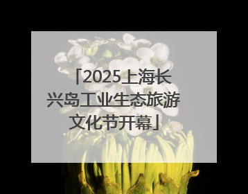 2025上海长兴岛工业生态旅游文化节开幕