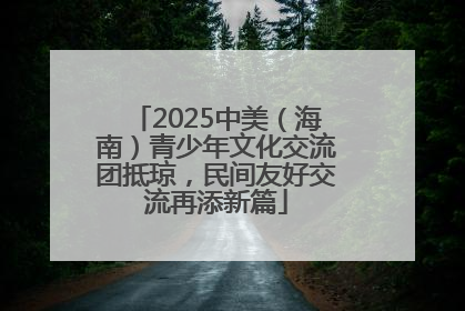 2025中美（海南）青少年文化交流团抵琼，民间友好交流再添新篇