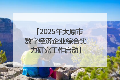 2025年太原市数字经济企业综合实力研究工作启动