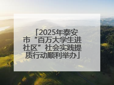 2025年泰安市“百万大学生进社区”社会实践提质行动顺利举办
