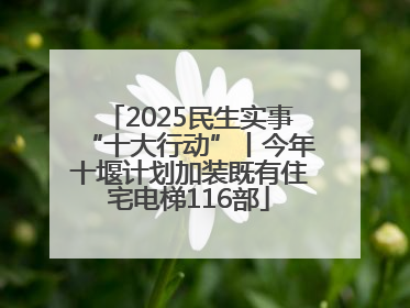2025民生实事“十大行动”丨今年十堰计划加装既有住宅电梯116部
