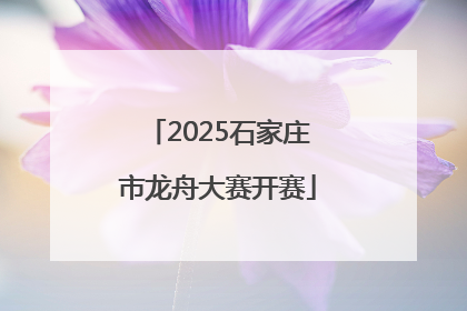 2025石家庄市龙舟大赛开赛