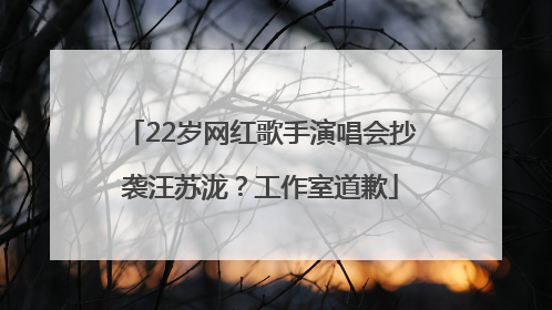 22岁网红歌手演唱会抄袭汪苏泷？工作室道歉