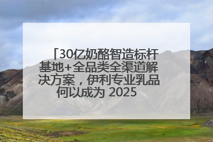 30亿奶酪智造标杆基地+全品类全渠道解决方案，伊利专业乳品何以成为 2025 焙烤展 MV