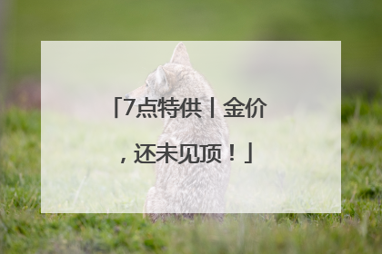 7点特供丨金价，还未见顶！