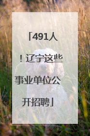 491人！辽宁这些事业单位公开招聘