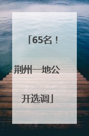 65名！荆州一地公开选调