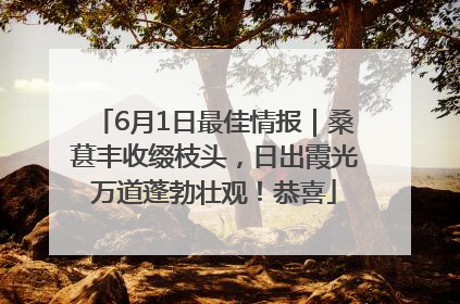 6月1日最佳情报｜桑葚丰收缀枝头，日出霞光万道蓬勃壮观！恭喜