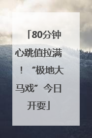 80分钟心跳值拉满！“极地大马戏”今日开耍