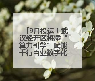 9月投运！武汉经开区将添“算力引擎”赋能千行百业数字化转型