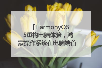 HarmonyOS 5重构电脑体验，鸿蒙操作系统在电脑端首次亮相丨新经济观察