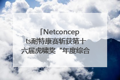 Netconcepts耐特康赛斩获第十六届虎啸奖“年度综合服务商”大奖