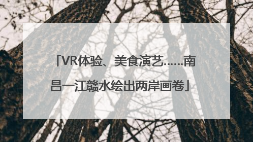 VR体验、美食演艺……南昌一江赣水绘出两岸画卷