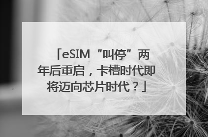 eSIM“叫停”两年后重启，卡槽时代即将迈向芯片时代？